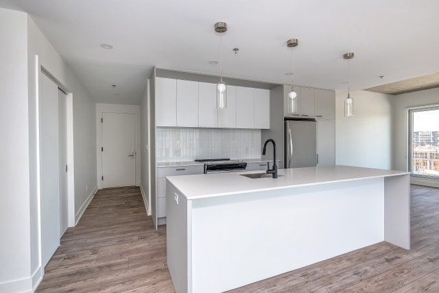 1250 avenue Thérèse-Lavoie-Roux — photo 2