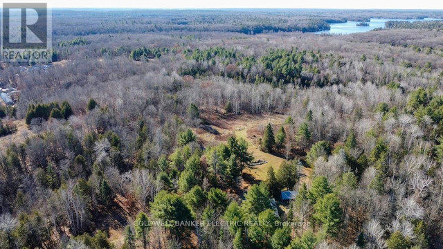 7050 HIGHWAY 28 North Kawartha, Ontario in Houses for Sale in Trenton - Image 4
