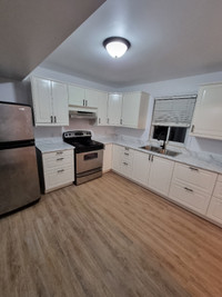 Beautiful Renovated 2 bedroom 1 bath - available if the ad is up