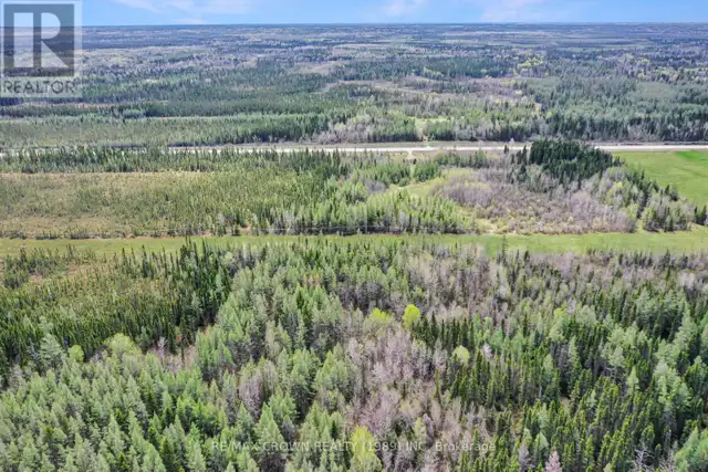 FAUQUIER-STRICKLAND - 319 HIGHWAY 11 Kapuskasing, Ontario in Land for Sale in Kapuskasing - Image 8