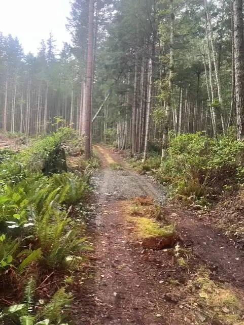 GULF ISLAND BC– OFF-GRID LAND STEWARDSHIP & LIVING OPPORTUNITY in Storage & Parking for Rent in Nanaimo - Image 12