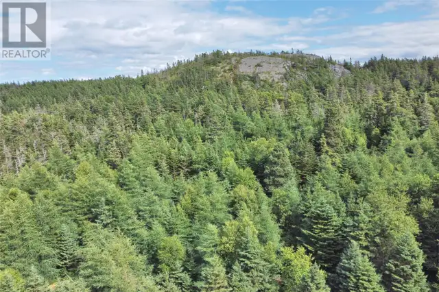 347-355 Conception Bay Highway Brigus, Newfoundland & Labrador in Land for Sale in St. John's - Image 12