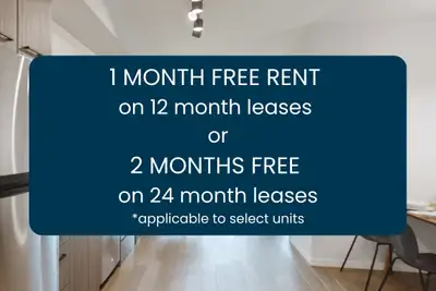 Modern 1-Bedroom Apartment in Downtown Ottawa– Available Oct 1!, View more