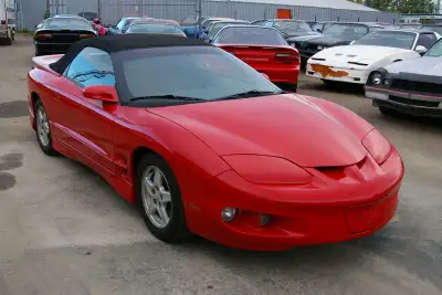 David Ts Camaro & Firebird Very sporty looking with good gas mileage, fully loaded, leather interior...