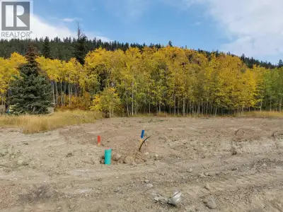 Welcome Home! Final Phase of Blackstock Estates! All city amenities and just a short walk to town. P...
