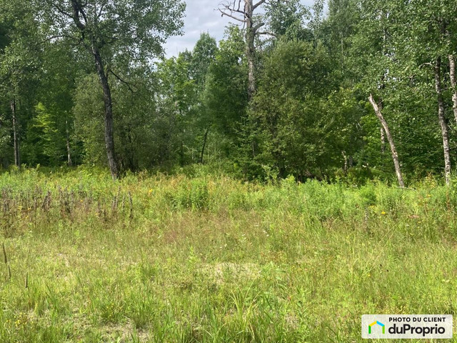 $259,000 - Land to be developed for sale in Labelle dans Terrains à vendre  à Val-d'Or - Image 2