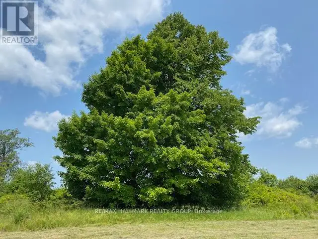 LOT 28 R13 ROAD Rideau Lakes, Ontario in Land for Sale in Ottawa - Image 10
