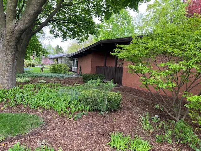 Two rooms, 1 block to Univ, ideal location, $800