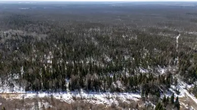 80 acres of land, under an hour drive from Winnipeg. Own your own forest! Pommer Rd. is approximatel...