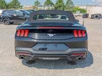 Come see this 2025 Ford Mustang I4CV before someone takes it home! *Get Your Money's Worth for this... (image 3)