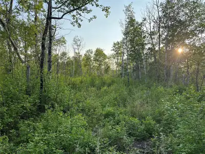 R27//Victoria Beach/Beautiful partially cleared 85x140 ft lot in the non-restricted area of Victoria...