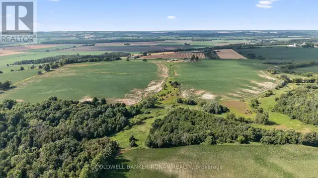 4495 LINE 11 Bradford West Gwillimbury, Ontario in Land for Sale in Barrie - Image 11