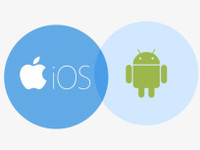 Mobile App Development, Web Applications, IOS, Android & Flutter Calgary Alberta Preview