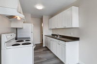 Welcome to your future home! Terrace Apartments is an ideal location for families, young professiona... (image 2)
