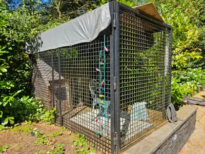 5'x9' Lion wild animal cage large dog Harley Davidson, View more
