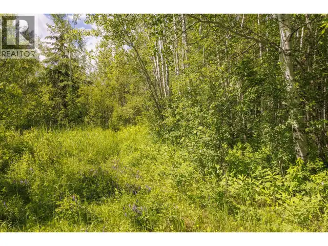 DL 5314 HORSESHOE LAKE ROAD McBride, British Columbia in Land for Sale in Quesnel - Image 7