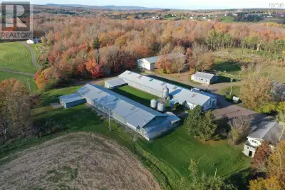 Endless possibilities!! - This former egg farm located close to St. Andrew's on Highway 316 and appr...