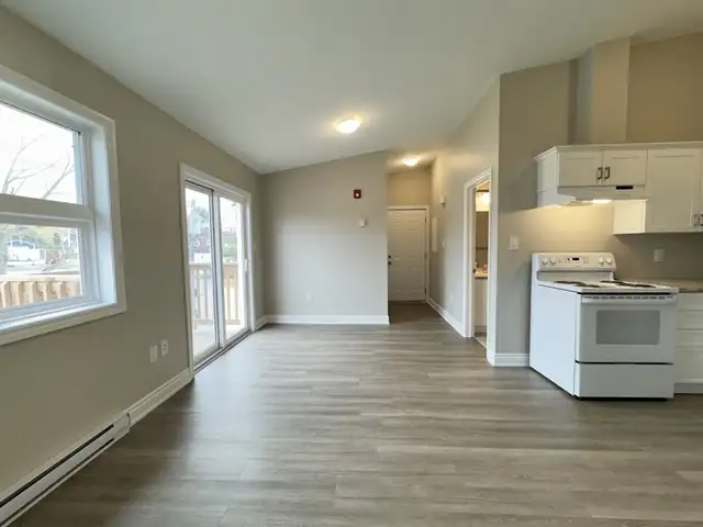 Beautiful Newly Renovated 1 Bedroom Apartments Available Now