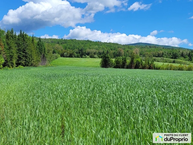 $295,000 - Arable Land for sale in Clermont — photo 3