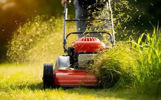 Grass Cutting & Sodding Services-Residential, Condo & Commercial