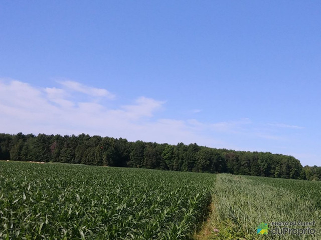 725 000$ - Terre agricole à vendre à Yamaska in Land for Sale in Saint-Hyacinthe - Image 4