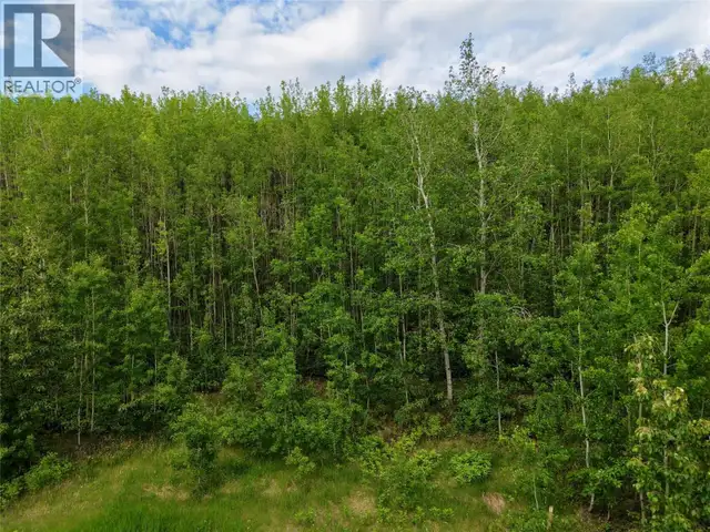 Lot 1 Kendrew Subdivision Pouce Coupe, British Columbia in Land for Sale in Dawson Creek - Image 7