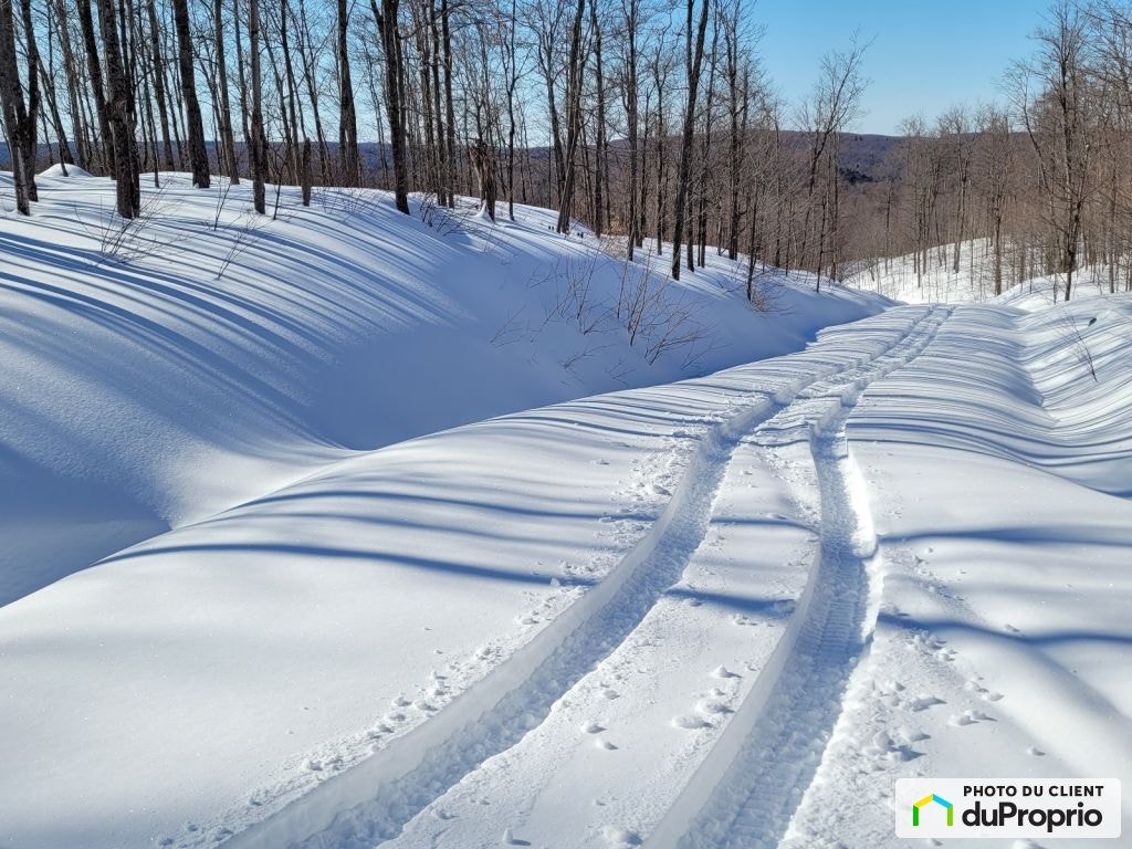 $599,000 - Wood Lot for sale in Morin-Heights — photo 3