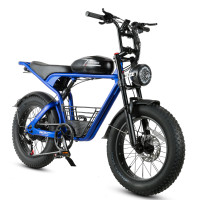 New 1200W Retro Fat Tire Ebike 55km/h Free Shipping Warranty