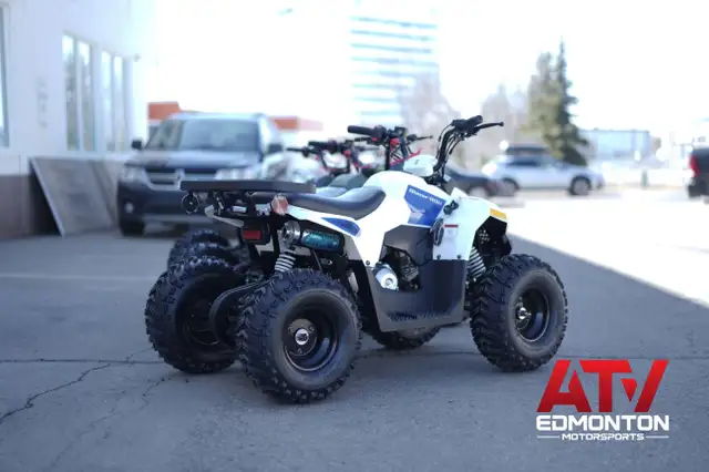 2025 Gio Blazer 110H ATV FOR KIDS! Premium Model! in ATVs in Edmonton - Image 8