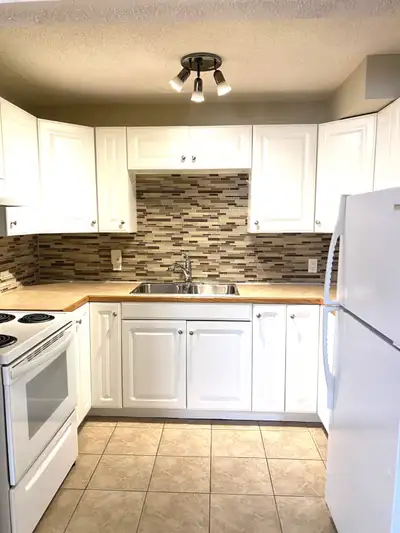 NEWER RENOD LEGAL 2BR Bsmt -Newer Kitchen,hardwood,windows,pets
