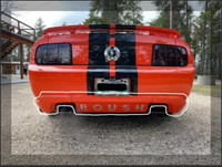 Wanted: 2005 - 2009 Roush Mustang Rear Bumper Ground Effects