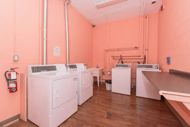 2 Female Student Beds in Unit 5 at 298 Spruce- $1,000 Gift Card! in Room Rentals & Roommates in Kitchener / Waterloo - Image 8