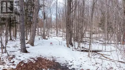 Just under an acre in size on Sunnyshore Park Drive. On peninsula of Lake Manitouwabing. Not waterfr...