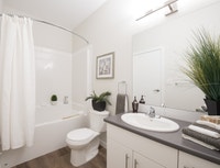 Stunning bachelor suites in Nanaimo at Summerhill Village Current Incentives: 1 Month FREE Rent* $49... (image 7)