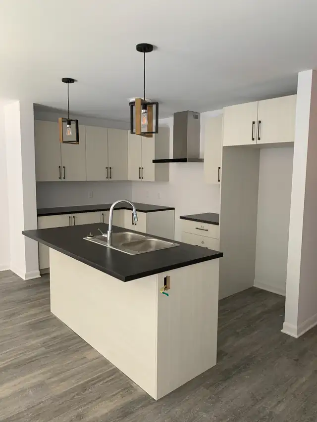 MAGINIFQUES 5 1/2 DISPONIBLES IMMÉDIATEMENT, JUIN OU JUILLET in Long Term Rentals in Saint-Jean-sur-Richelieu - Image 3