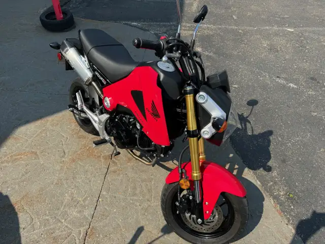 Grom(TM) in Street, Cruisers & Choppers in Edmonton - Image 3