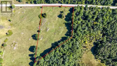 Set on just over 5 acres and bordered on two sides by Baird Forest Conservation Land, this property...