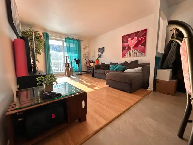 St-Nicolas (Lévis) - grand 4 1/2 - 1er mai 2026