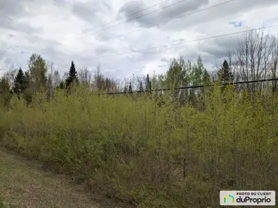Magnifique terrain de 3.74 acres situé dans un environnement paisible et naturel à moins de 1 kilomè...