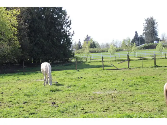 28927 BUCHANAN AVENUE Abbotsford, British Columbia in Land for Sale in Abbotsford - Image 26