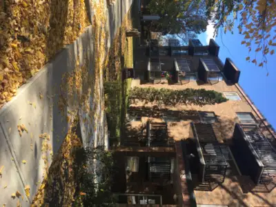 Ironwood Court will have a newly renovated 1 bedroom unit available along a quiet tree lined street....