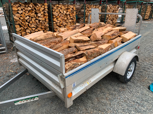 Firewood For Pickup and Delivery in Fireplace & Firewood in Bedford - Image 2