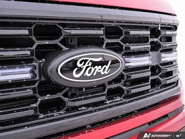 2025 Ford F-150 LOBO in Cars & Trucks in Edmonton - Image 11