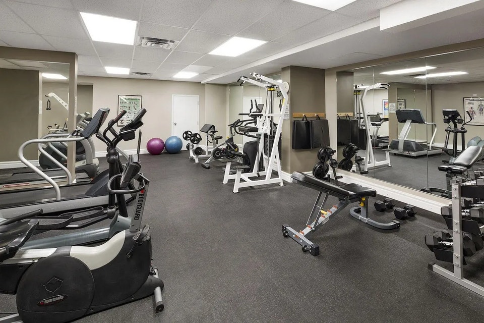 Gym, resident library, dog run and more 3