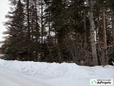 Rare sur le marché, terrain plat à vendre sur la rue Saint-André situé à Val-David, à proximité du v...