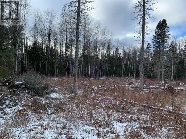 PCL8547 HWY 101 HIGHWAY W Timmins (TCTDAR Outside), Ontario in Land for Sale in Timmins - Image 5