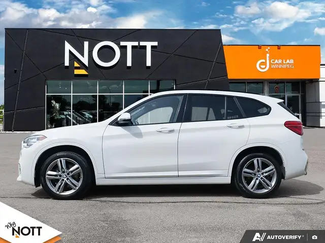 2018 BMW X1509907943199221762