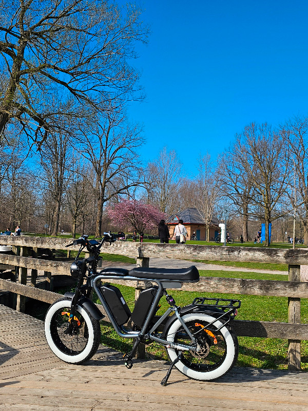 Dual Battery 1000W Full Suspension Retro Ebike 60km/h 220km Rang in eBike in London - Image 2