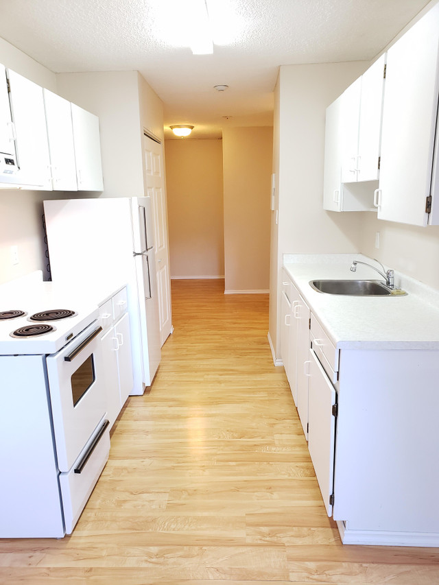 2 BD, 1B - Bright Apartment - $1595 in Long Term Rentals in Penticton