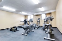 1 Bed, 1 Bath, Newly Renovated Kitchen with Stainless Steel Appliances with Amazing Amenities, Spect... (image 8)